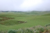 k-1 (28)