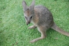 k-dsc_9605